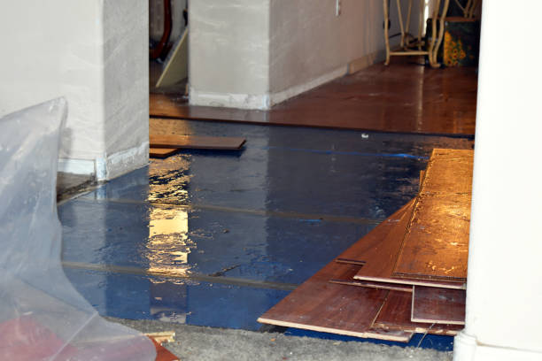 Professional Burst Pipe Cleanup technician working in Carthage, NC